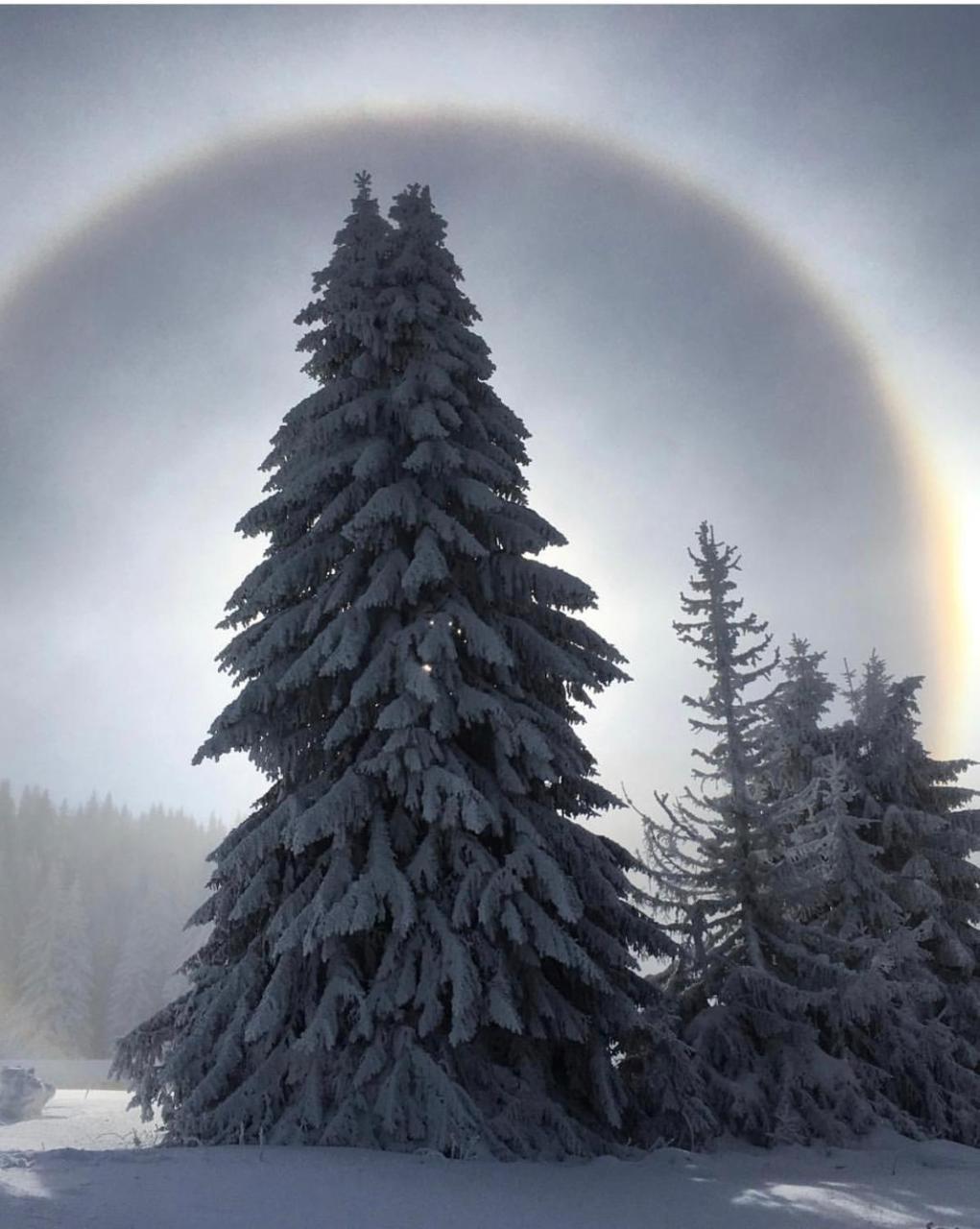 Silver Mountain Milmari Kopaonik Luaran gambar