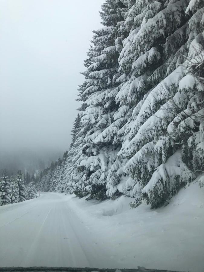 Silver Mountain Milmari Kopaonik Luaran gambar